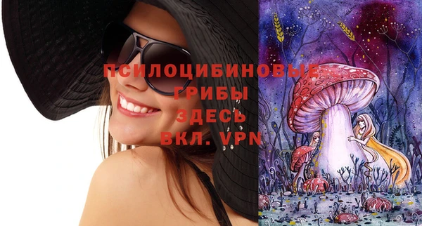 ALPHA PVP Осинники