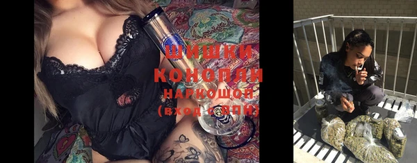 ALPHA PVP Осинники