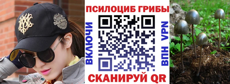 Галлюциногенные грибы MAGIC MUSHROOMS  Купить  Ахтырский 